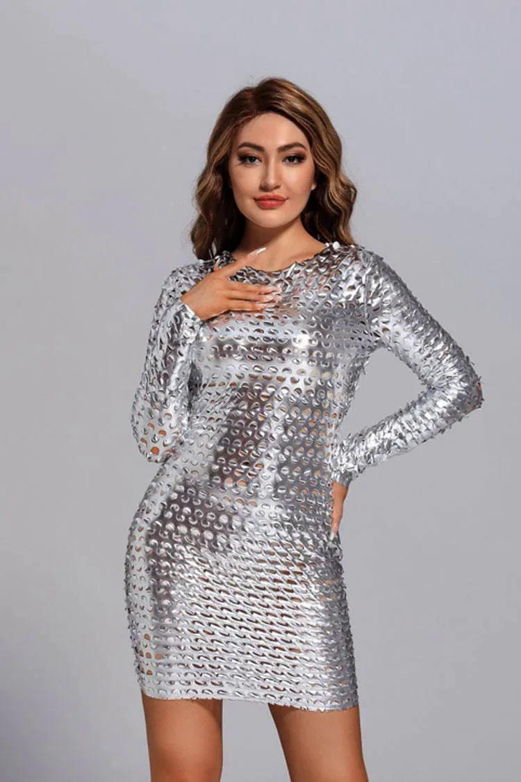 Luna Silver Mesh Bodycon Dress Luna Silver Mesh Bodycon Dress